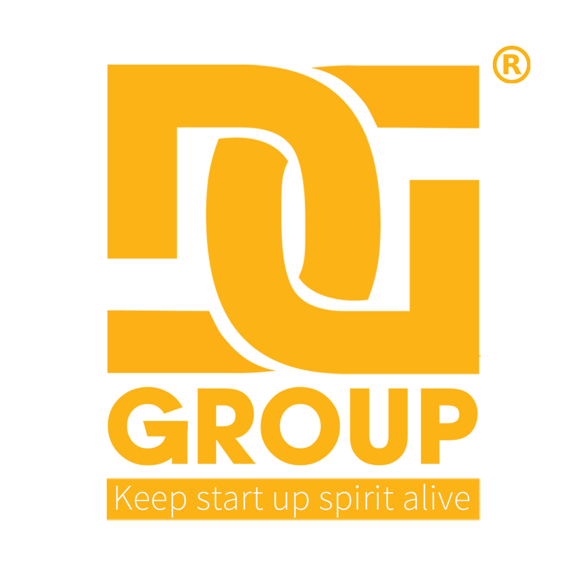 DGROUP HOLDINGS